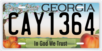 GA license plate CAY1364