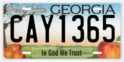 GA license plate CAY1365