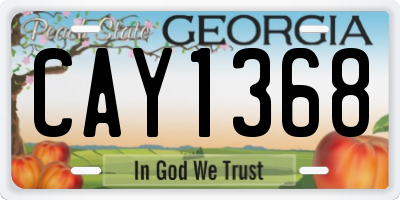 GA license plate CAY1368