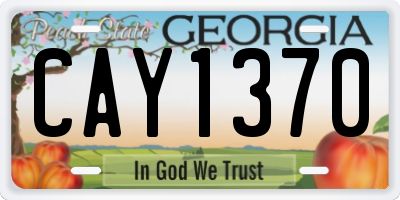GA license plate CAY1370