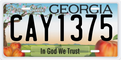 GA license plate CAY1375