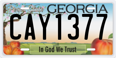 GA license plate CAY1377