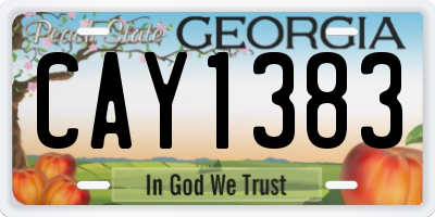 GA license plate CAY1383