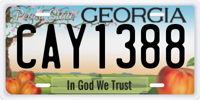 GA license plate CAY1388