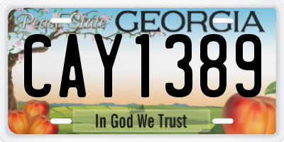 GA license plate CAY1389