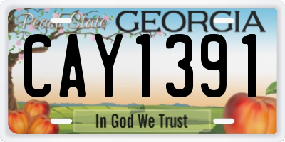 GA license plate CAY1391