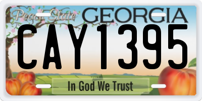 GA license plate CAY1395