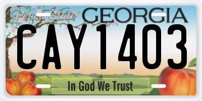 GA license plate CAY1403