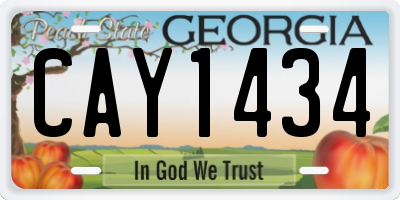 GA license plate CAY1434
