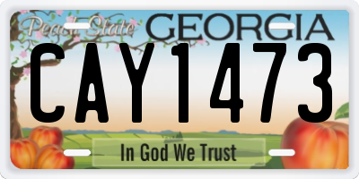 GA license plate CAY1473