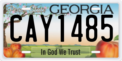 GA license plate CAY1485