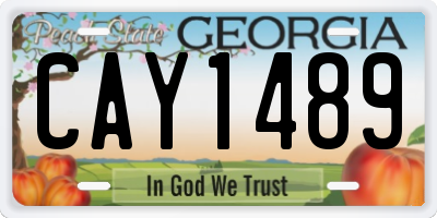 GA license plate CAY1489