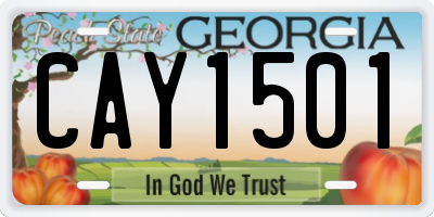 GA license plate CAY1501