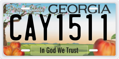 GA license plate CAY1511