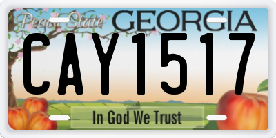 GA license plate CAY1517