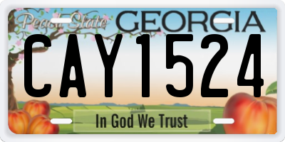 GA license plate CAY1524