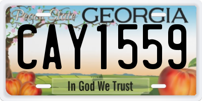 GA license plate CAY1559