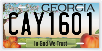 GA license plate CAY1601