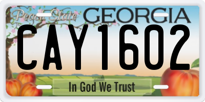 GA license plate CAY1602