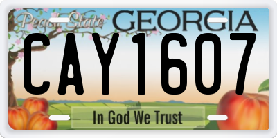 GA license plate CAY1607
