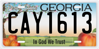 GA license plate CAY1613