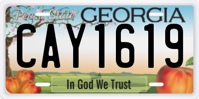 GA license plate CAY1619