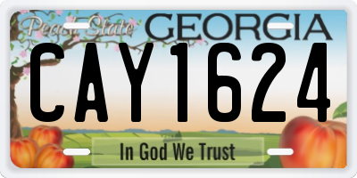 GA license plate CAY1624