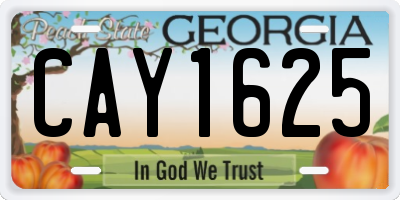 GA license plate CAY1625