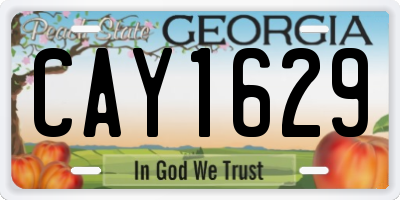 GA license plate CAY1629