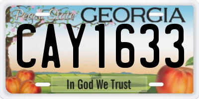 GA license plate CAY1633