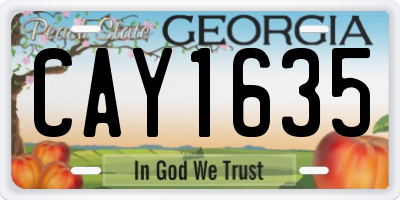 GA license plate CAY1635