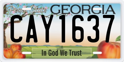GA license plate CAY1637