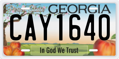 GA license plate CAY1640