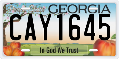 GA license plate CAY1645