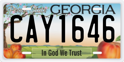 GA license plate CAY1646