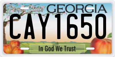 GA license plate CAY1650