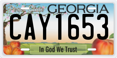 GA license plate CAY1653