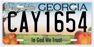 GA license plate CAY1654