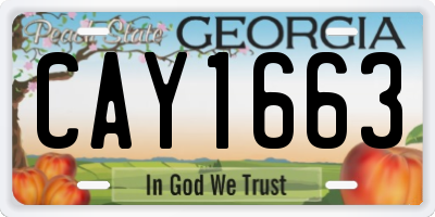 GA license plate CAY1663