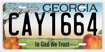 GA license plate CAY1664