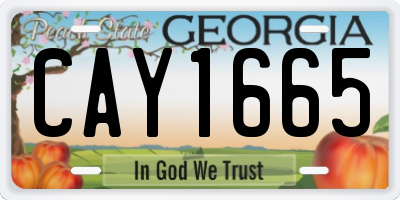 GA license plate CAY1665