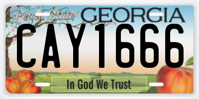 GA license plate CAY1666