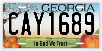 GA license plate CAY1689