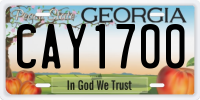 GA license plate CAY1700