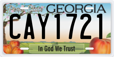 GA license plate CAY1721