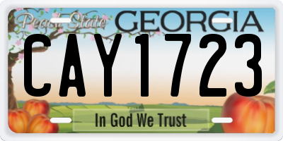 GA license plate CAY1723
