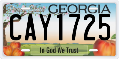 GA license plate CAY1725