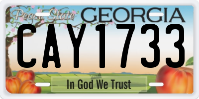 GA license plate CAY1733