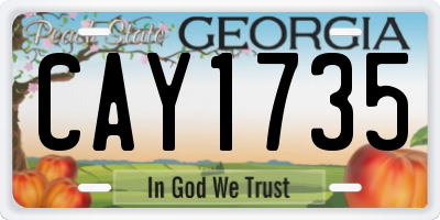 GA license plate CAY1735