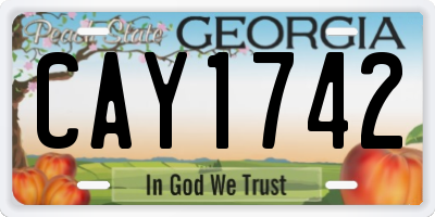 GA license plate CAY1742